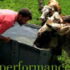 performance_paolo.jpg (42946 byte)
